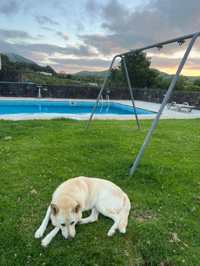 Arrenquinha Guesthouse 1 São Vicente Ferreira Екстериор снимка