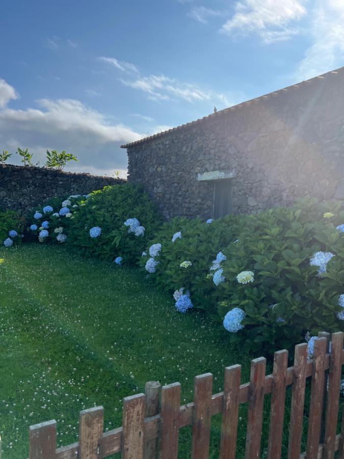 Arrenquinha Guesthouse 1 São Vicente Ferreira Екстериор снимка